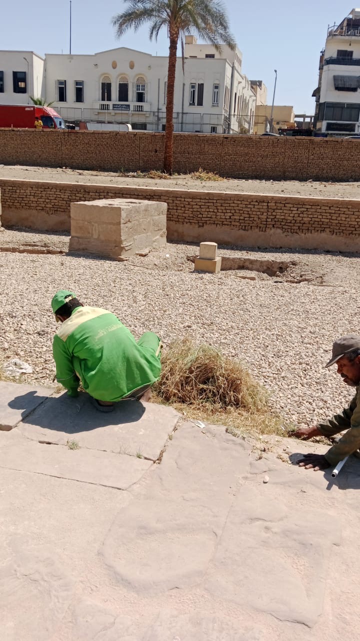 حملة نظافة مكبرة بطريق الكباش في الاقصر